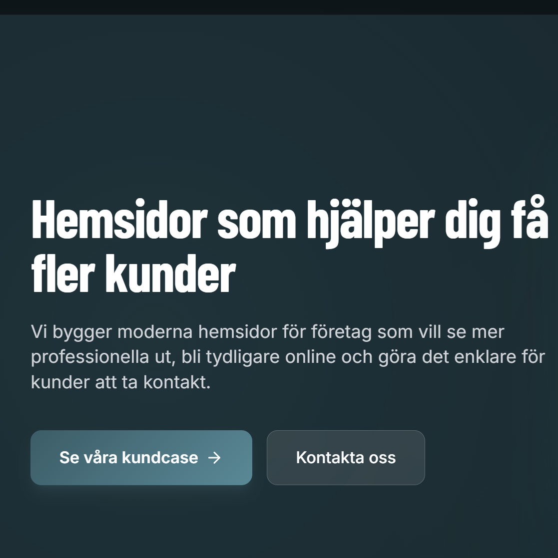Hemsida företag