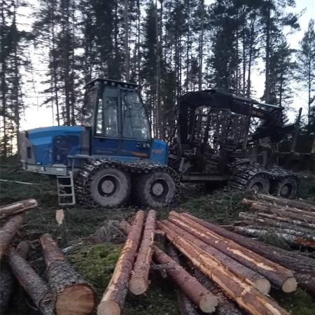 Skogsavverkning